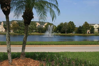 Mean High Water Survey